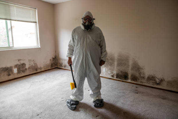 Best Residential Mold Removal  in Mccormick, SC