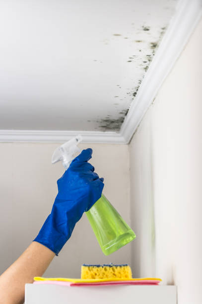 Water Damage Restoration in Mccormick, SC
